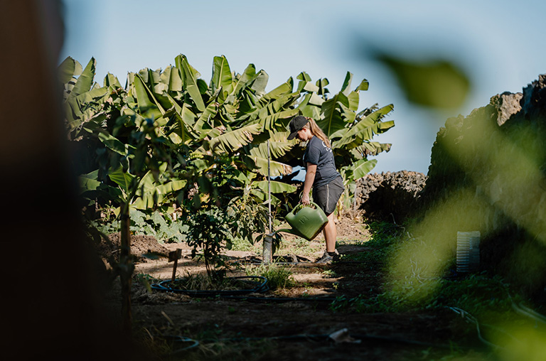 finca encuentro gardening