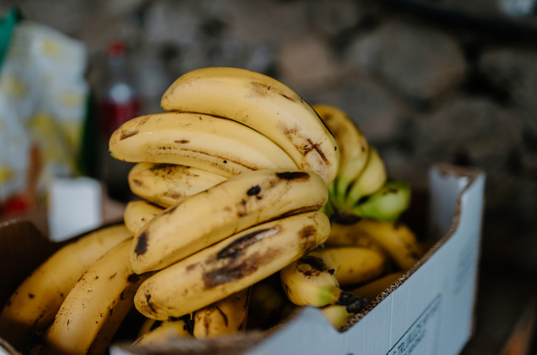 finca encuentro bananas fruits plants