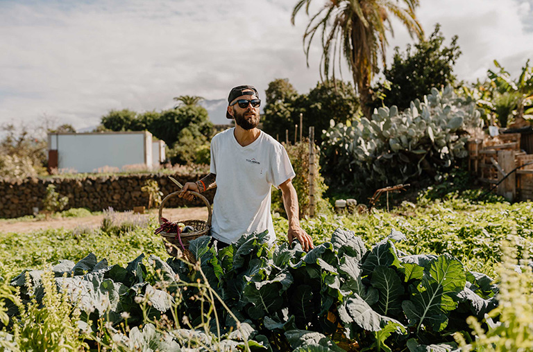 finca encuentro impressions harvest garden