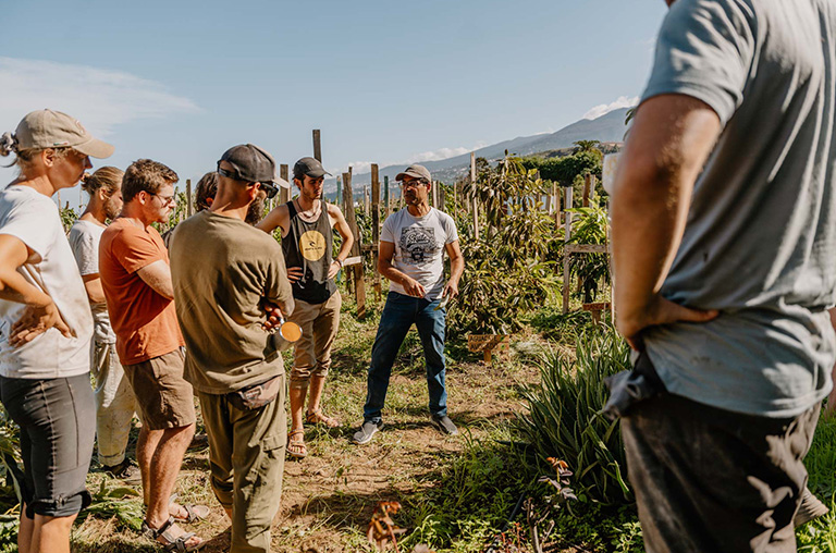 finca encuentro aloe vera work shop