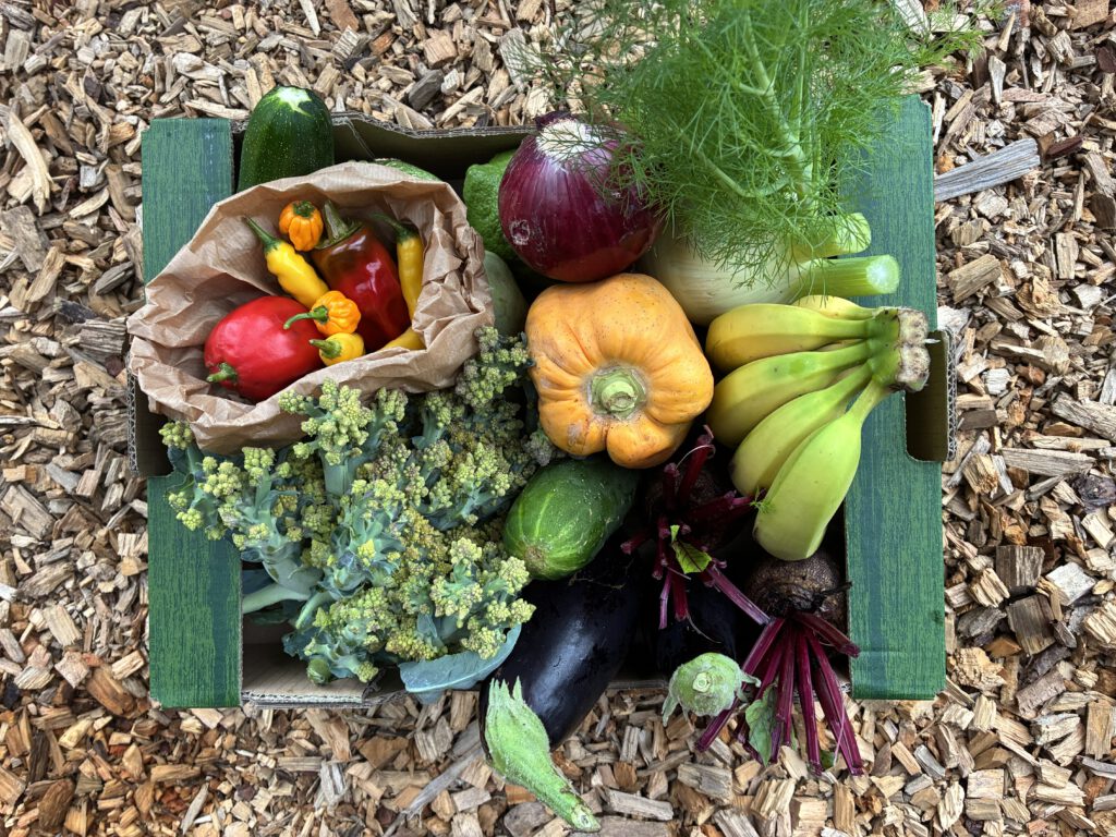 Veggie box