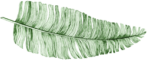 finca encuentro leaf deko